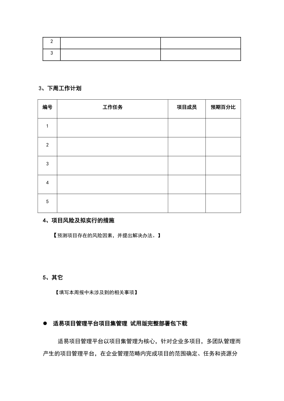 项目工作周报模板_第3页