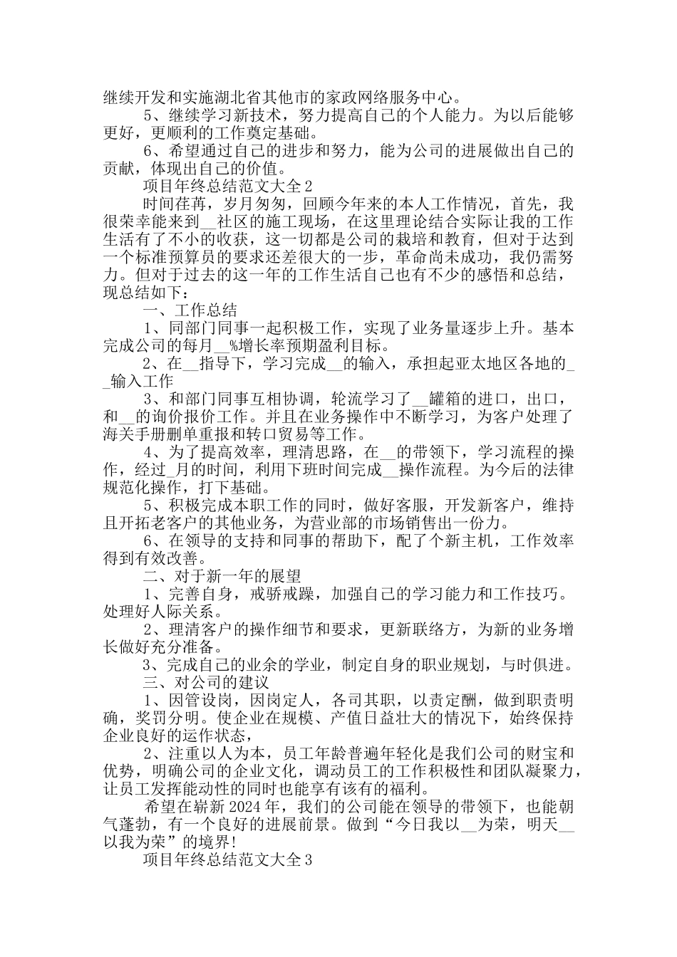 项目年终总结范文大全_第2页