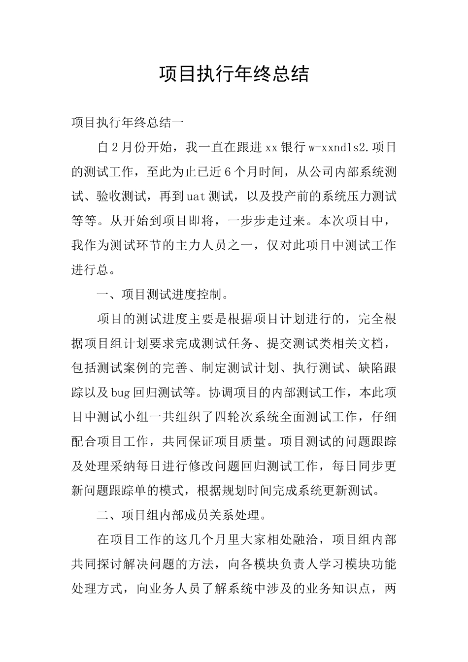 项目执行年终总结_第1页