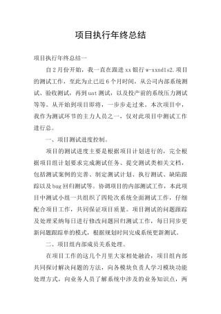 项目执行年终总结