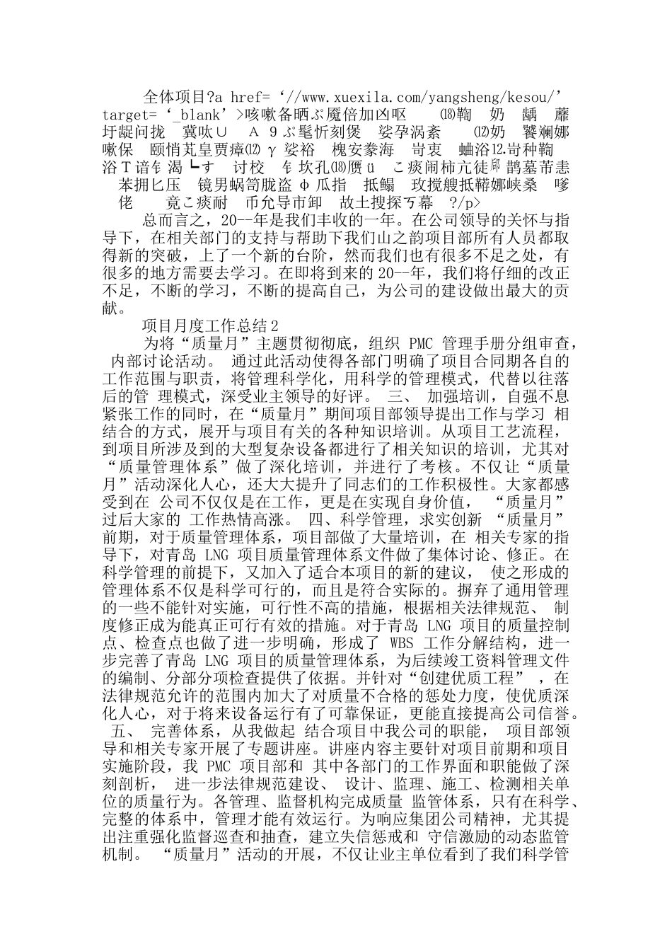 项目月度工作总结_第2页
