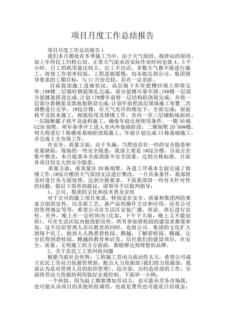 项目月度工作总结报告_第1页
