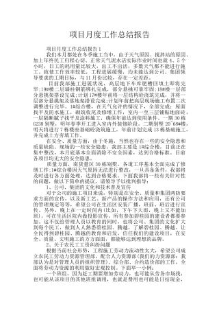 项目月度工作总结报告