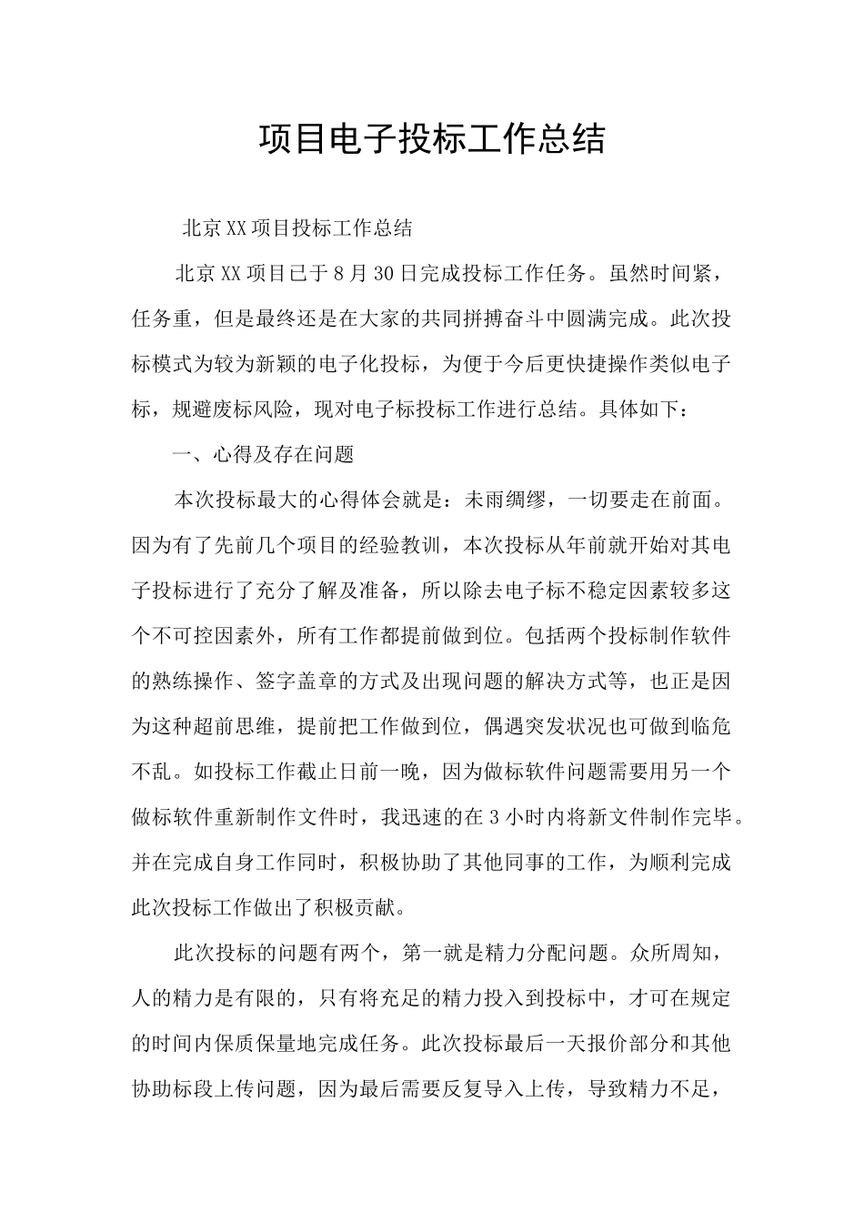 项目电子投标工作总结_第1页