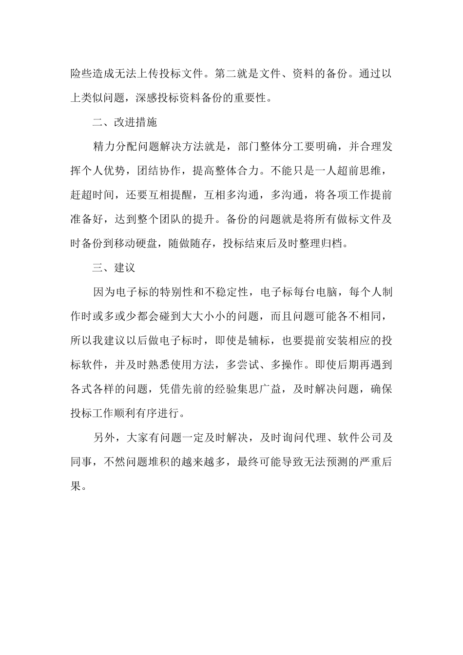 项目电子投标工作总结_第2页