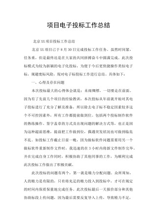 项目电子投标工作总结