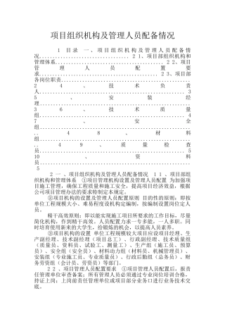 项目组织机构及管理人员配备情况