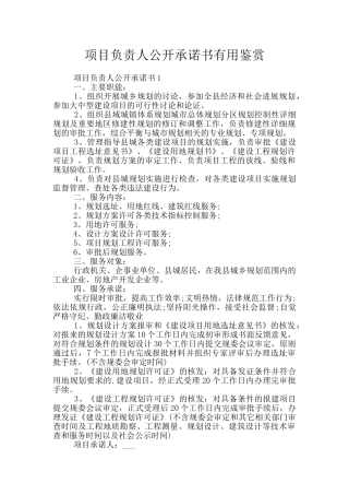 项目负责人公开承诺书实用鉴赏