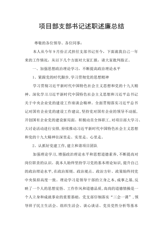 项目部支部书记述职述廉总结