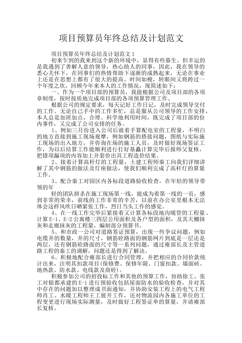 项目预算员年终总结及计划范文_第1页