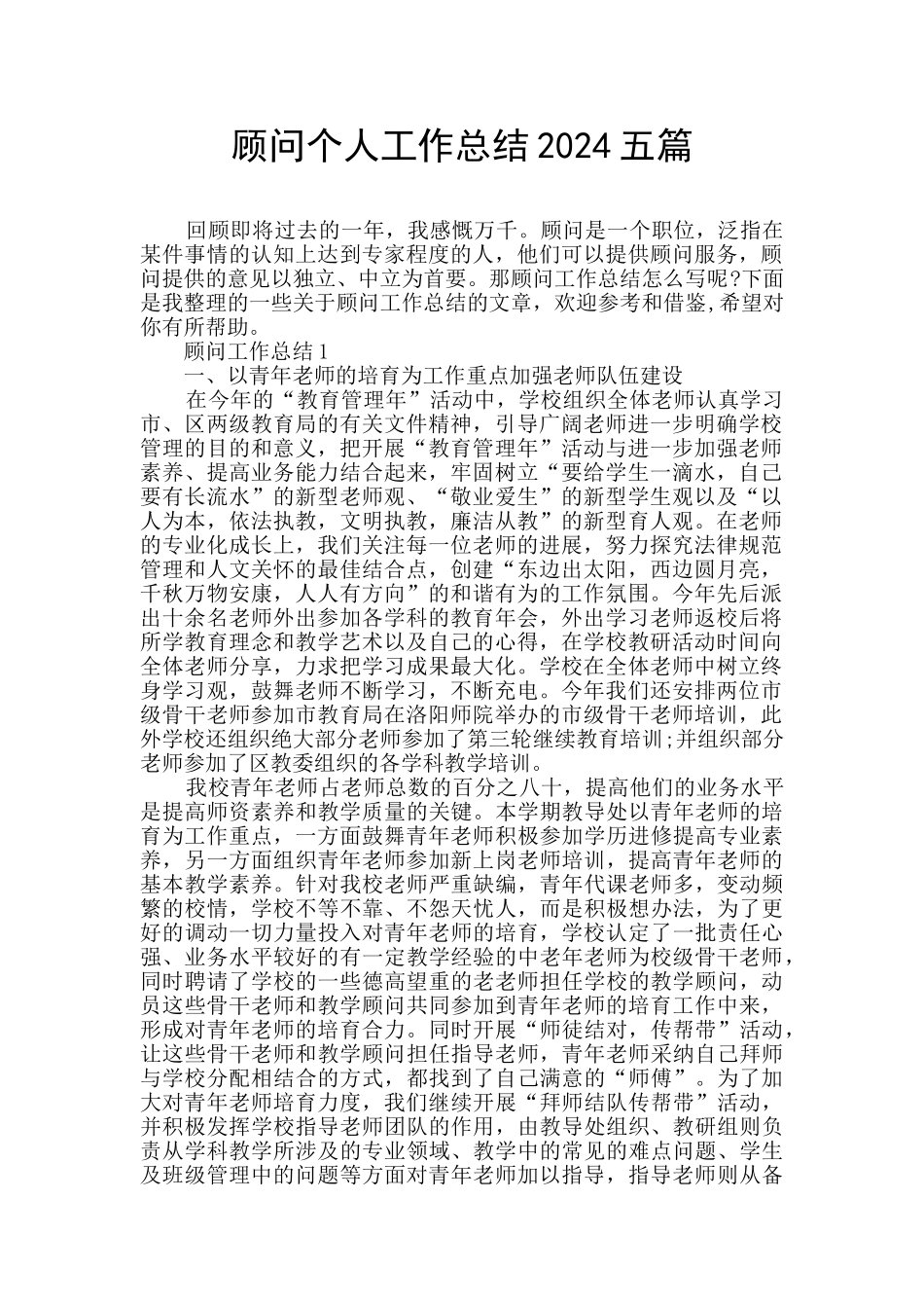 顾问个人工作总结2024五篇_第1页