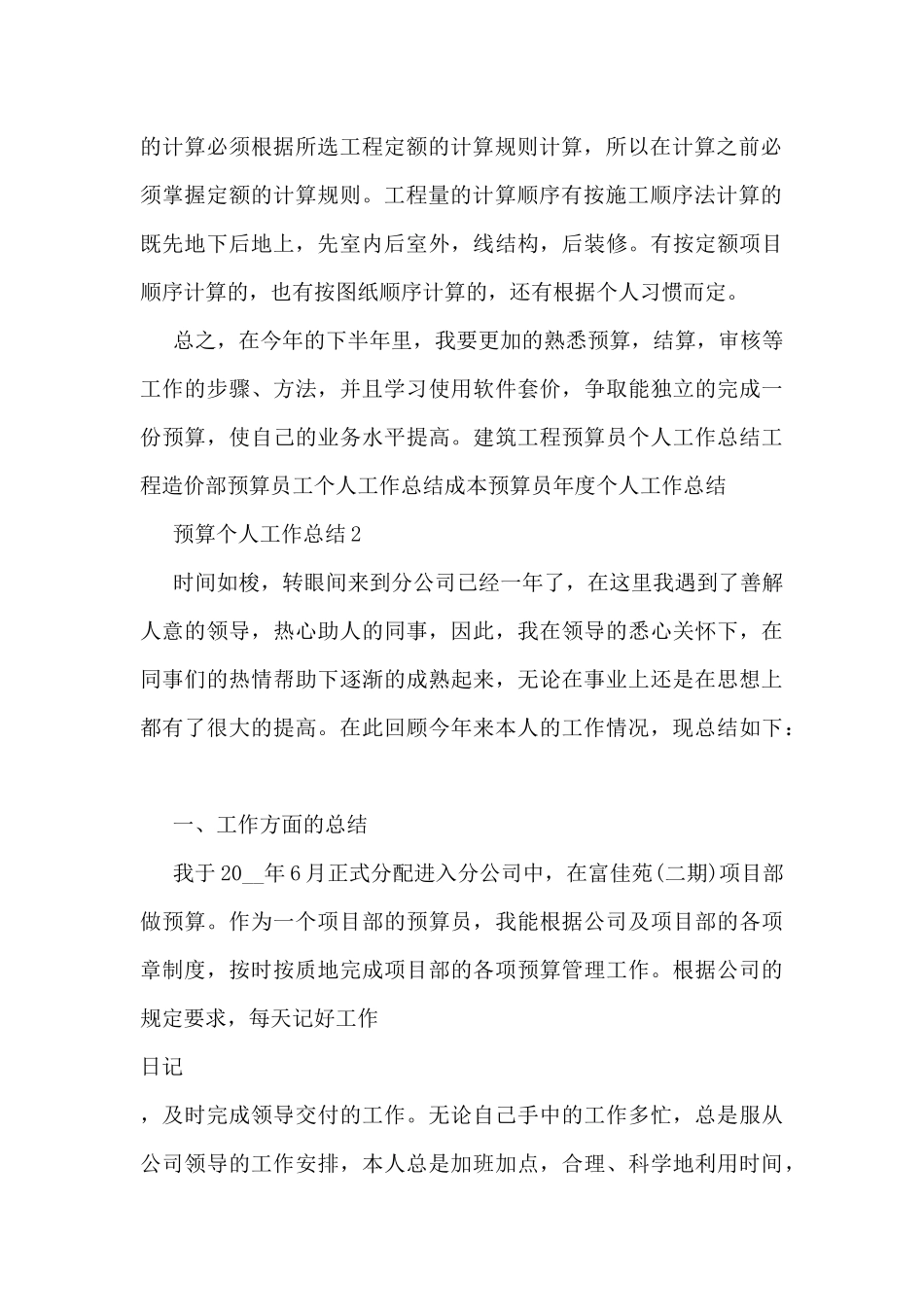 预算个人工作总结5篇_第2页