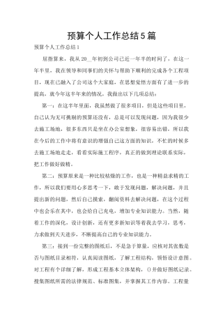 预算个人工作总结5篇