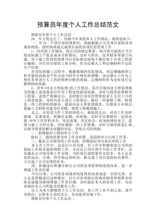 预算员年度个人工作总结范文