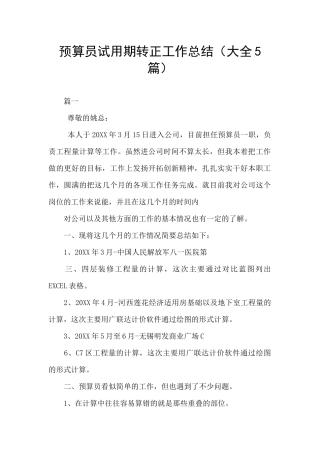 预算员试用期转正工作总结