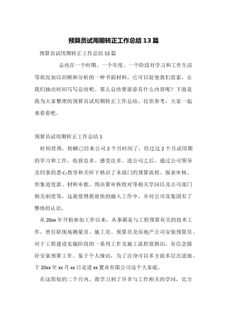 预算员试用期转正工作总结13篇
