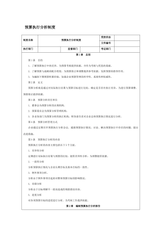 预算执行分析制度
