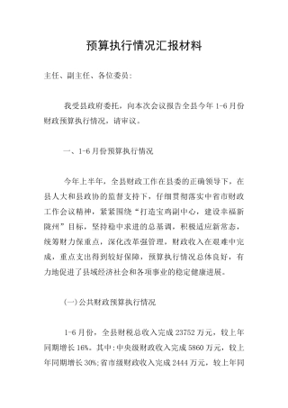 预算执行情况汇报材料