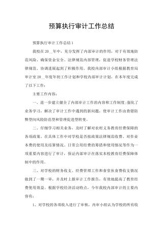 预算执行审计工作总结