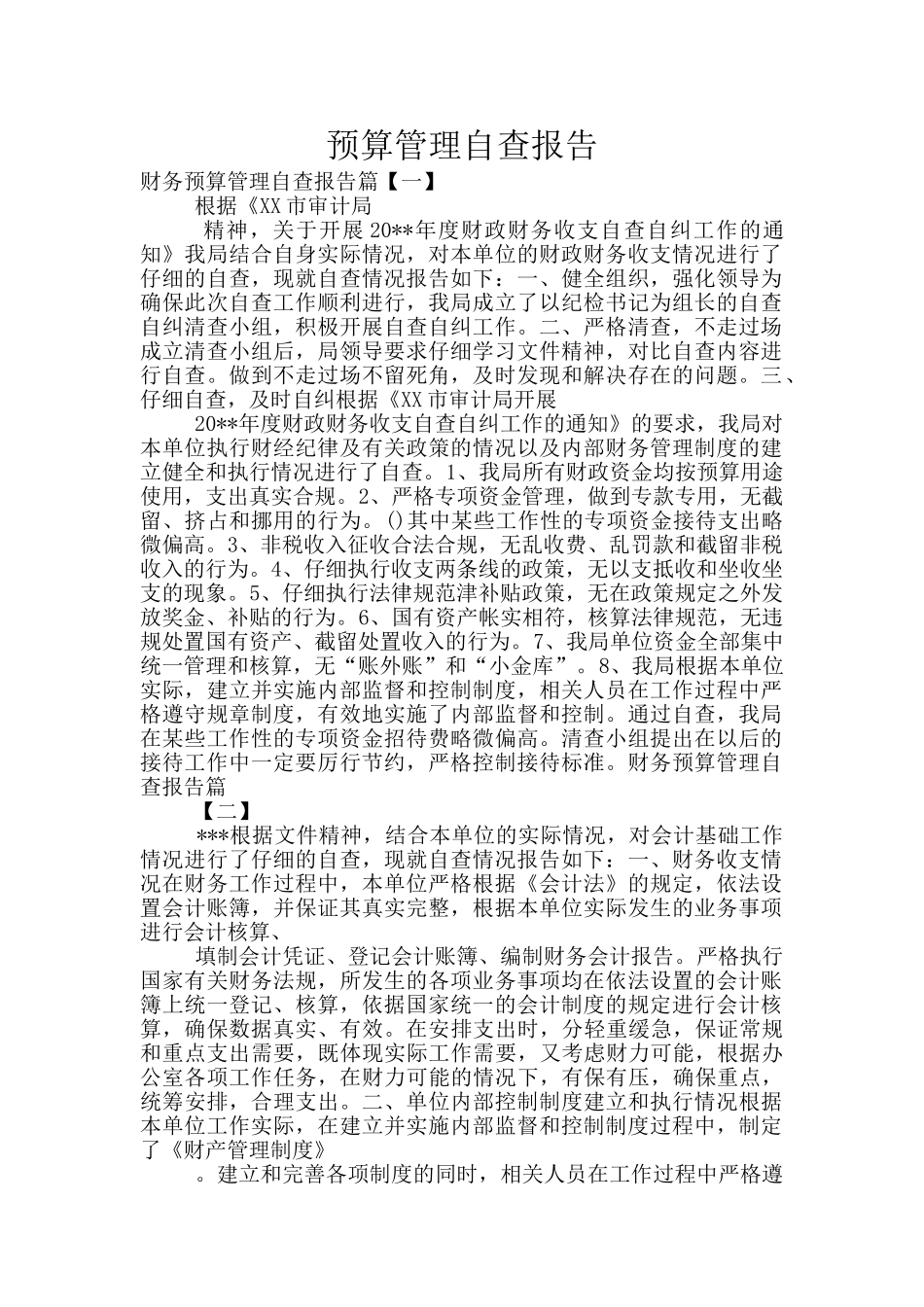 预算管理自查报告_第1页