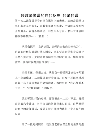 领域录像课的自我反思