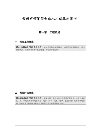 领军型创业人才创业计划书文稿