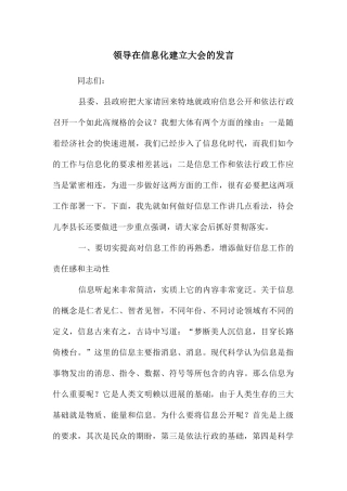 领导在信息化建立大会的发言