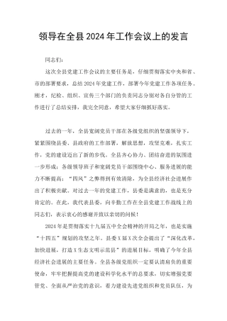 领导在全县2024年工作会议上的发言