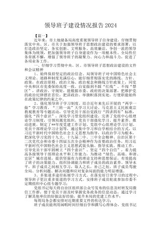 领导班子建设情况报告2024
