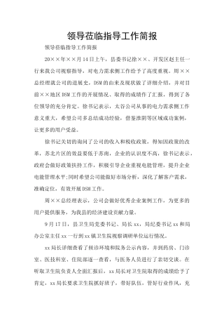 领导莅临指导工作简报