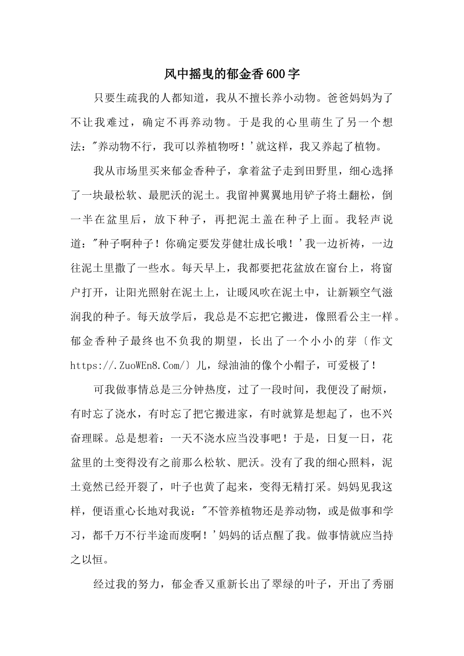 风中摇曳的郁金香600字_第1页