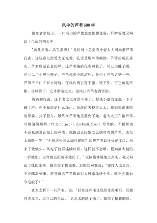 风中的芦苇600字