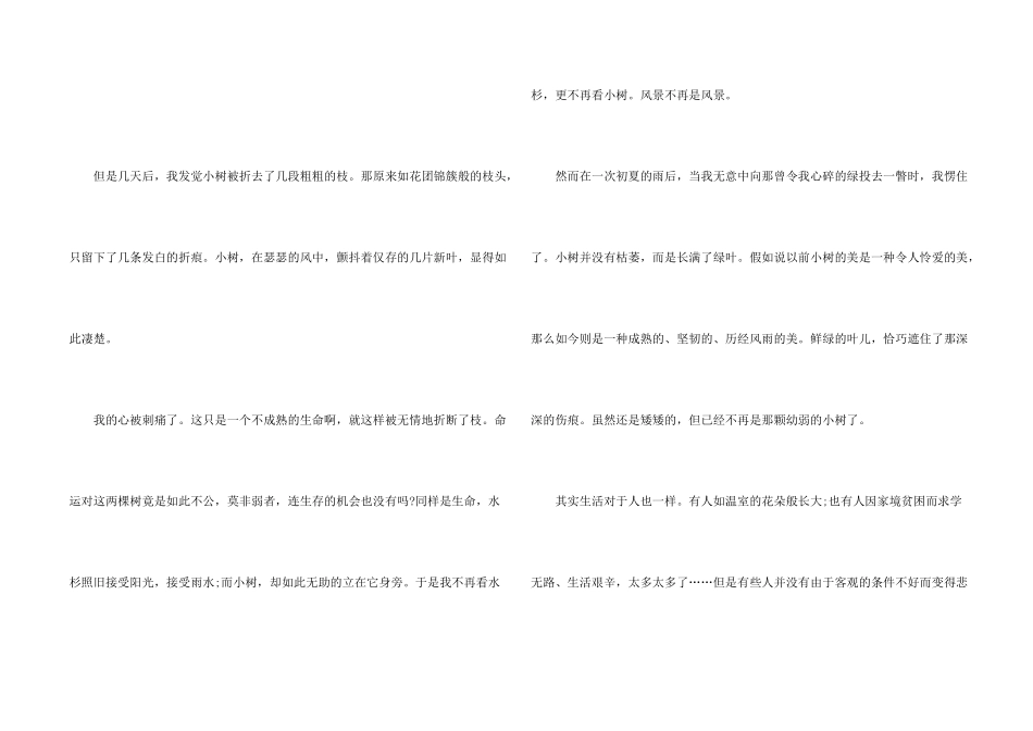 风景初三集锦八篇_第2页