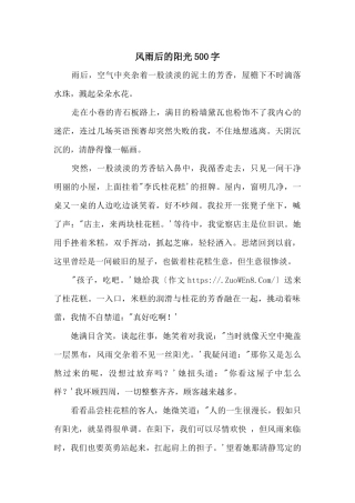 风雨后的阳光500字
