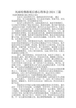 风雨哈佛路观后感心得体会2024三篇
