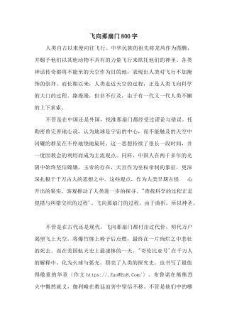 飞向那扇门800字