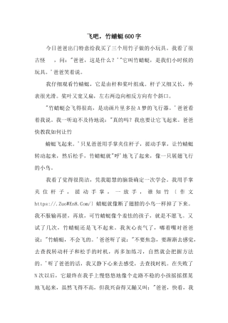 飞吧，竹蜻蜓600字