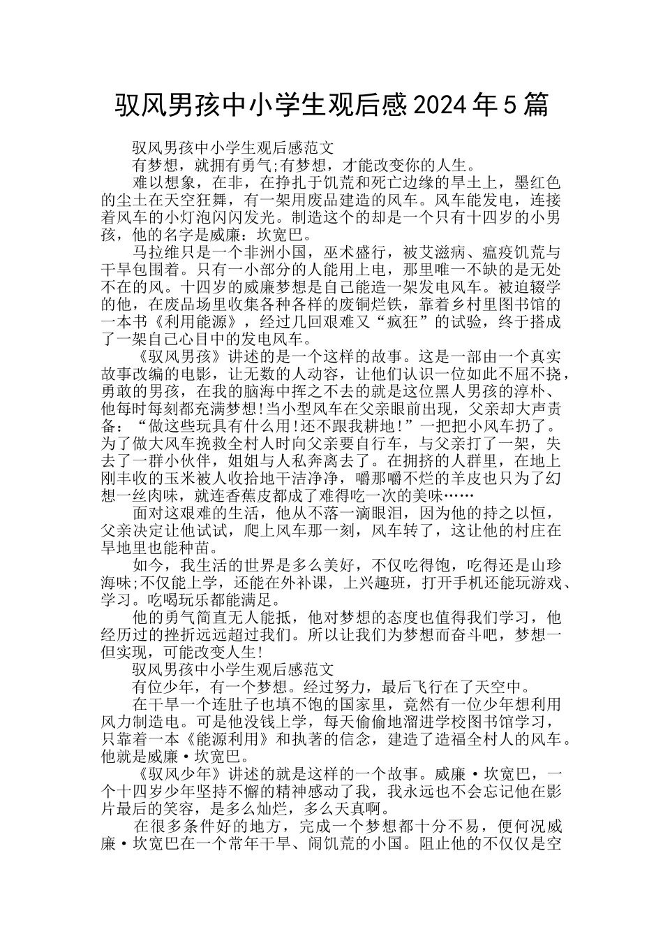 驭风男孩中小学生观后感2024年5篇_第1页