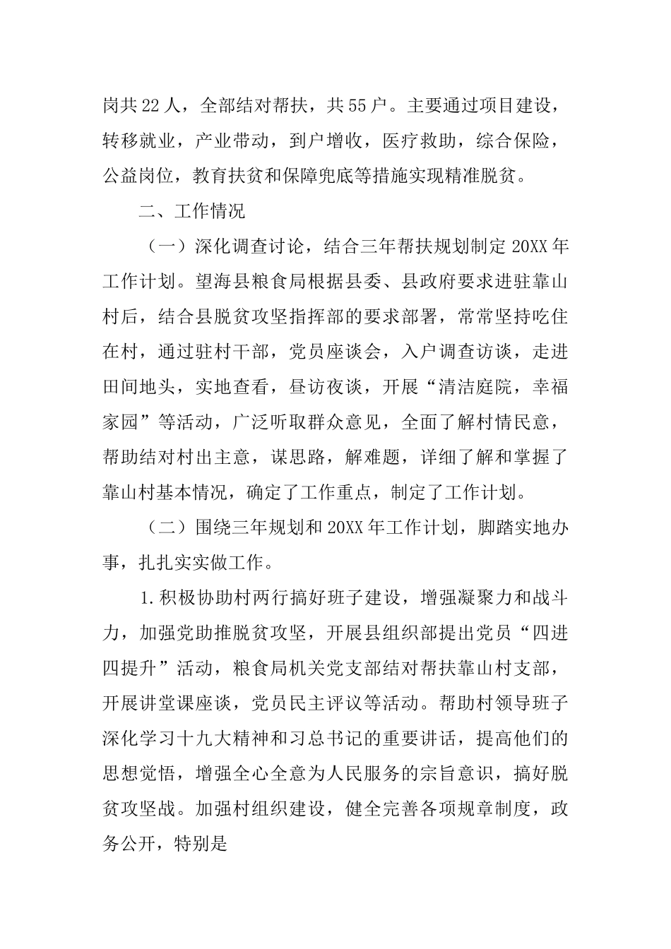 驻村工作队述职报告_第2页