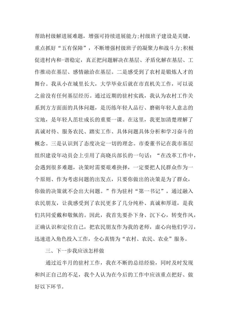 驻村第一书记心得体会_第3页