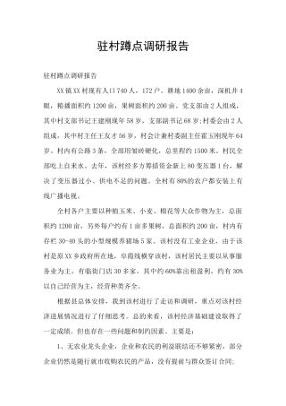 驻村蹲点调研报告
