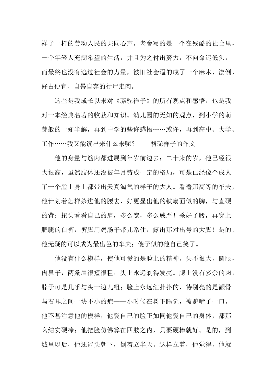 骆驼祥子的作文_第3页