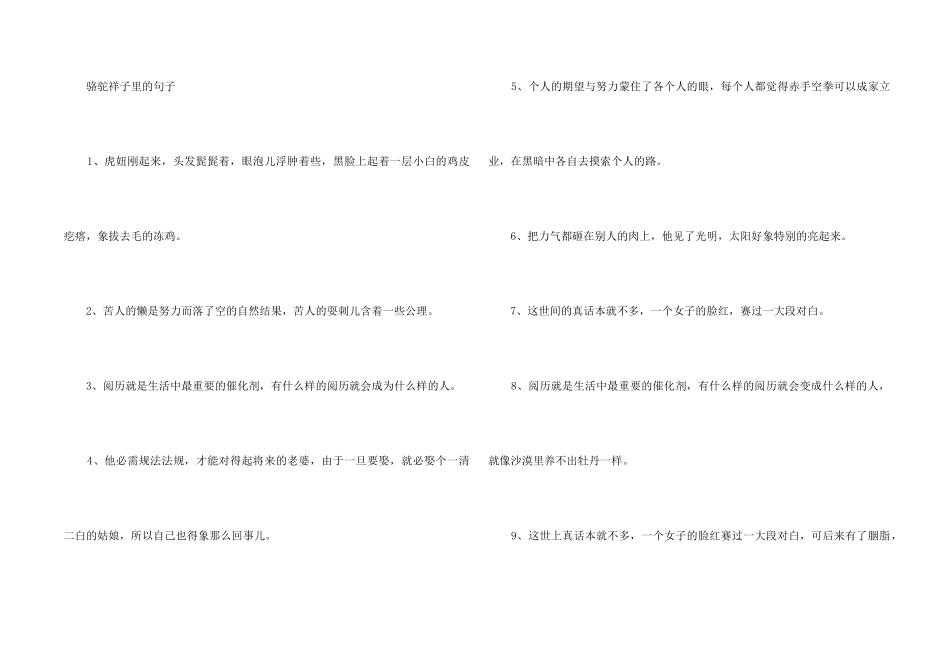 骆驼祥子里的好词_第2页