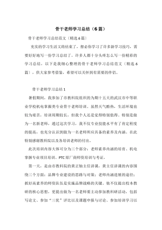 骨干教师学习总结