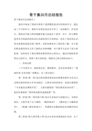 骨干集训月总结报告