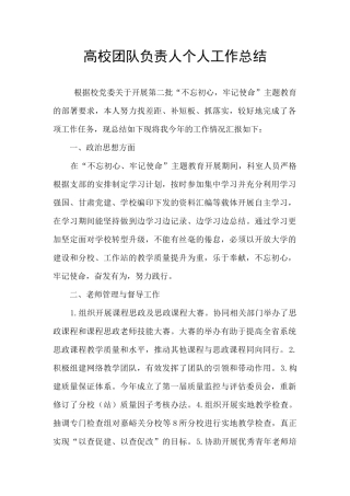高校团队负责人个人工作总结