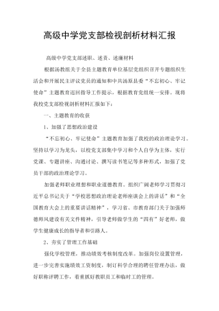 高级中学党支部检视剖析材料汇报