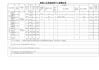 鲁能山水某地产营销中心薪酬体系