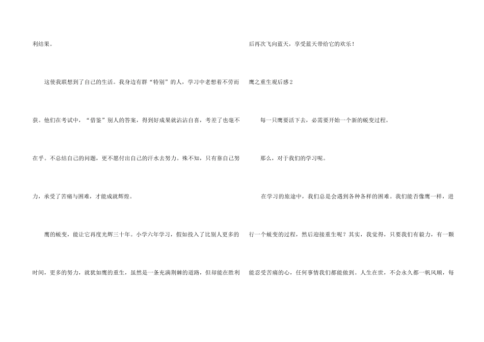 鹰之重生观后感_第2页