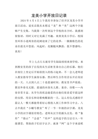 龙美小学开放日记录
